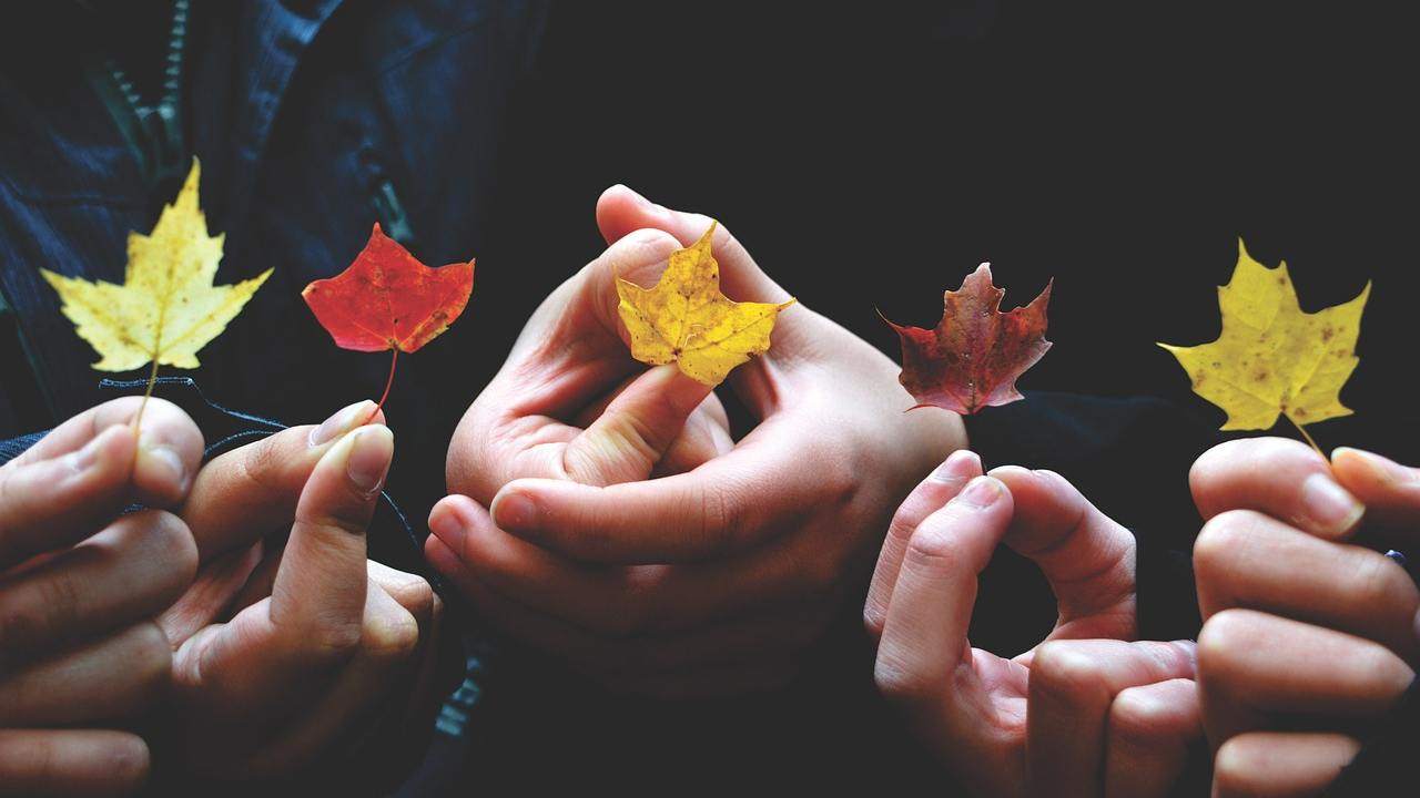 Foglie secche utilizzo