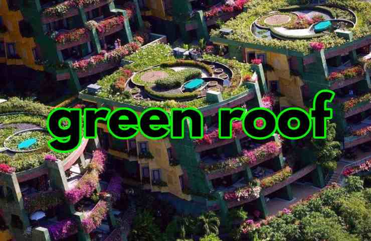 green roof tetti verdi città