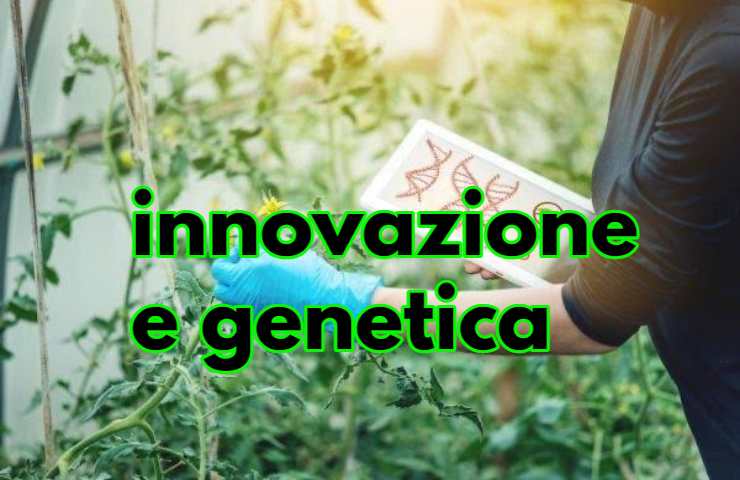 innovazione genetica colture sane