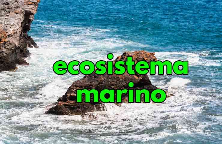 ecosistema marino violazioni multe