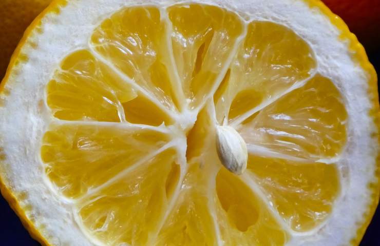 metà limone spremuto uso casalingo 