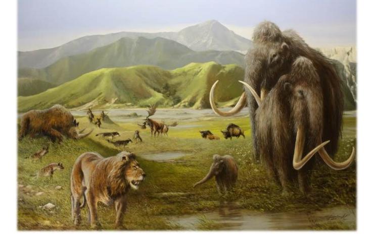 Plistocene mammut