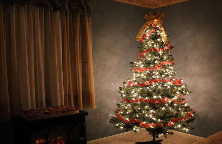 albero di natale covo di germi e batteri 