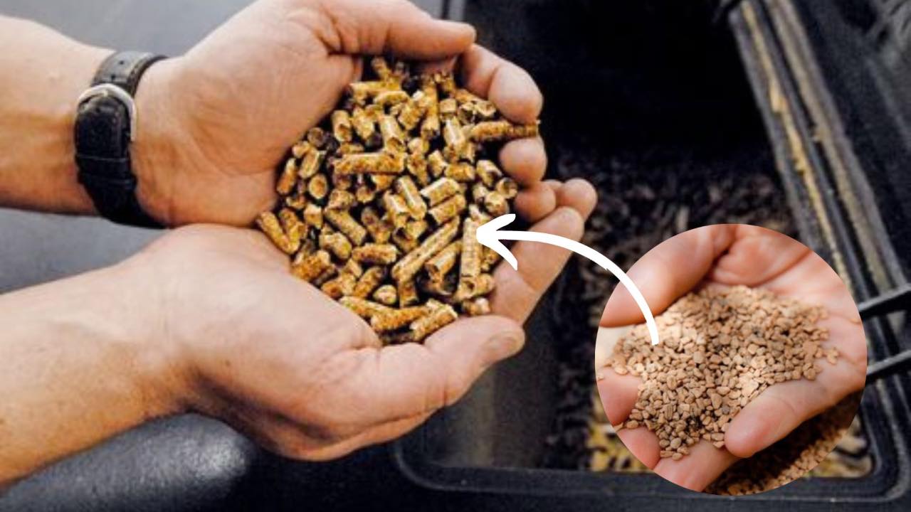 stufe pellet combustibile