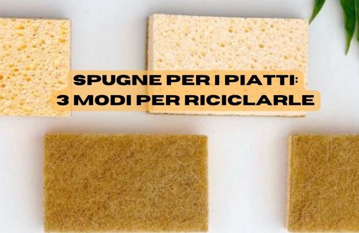 spugne piatti riciclo