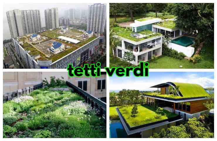 tetti verdi aiuto ambiente