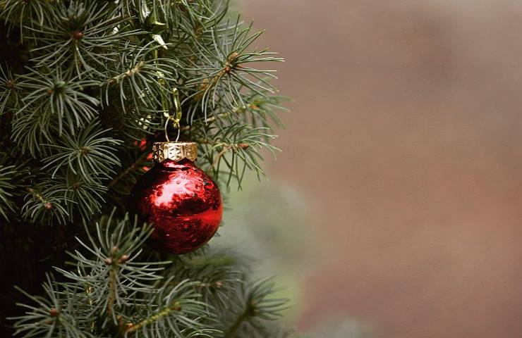 polemiche albero natale washington dc