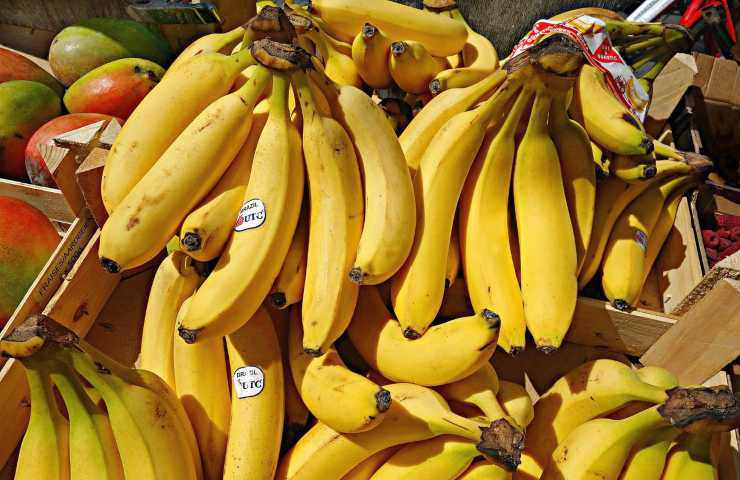 Banane sbucciate motivo 