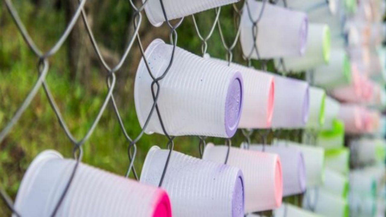 perchè bicchieri di plastica hanno linee