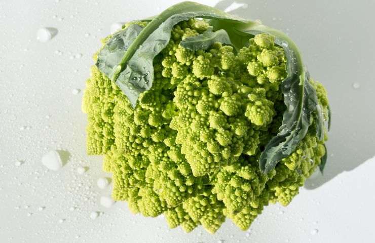 foglie broccoli ricetta