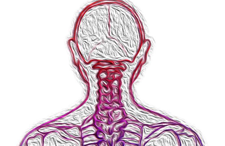 Cervicale vertebre infiammate esercizi 