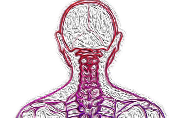 Cervicale vertebre infiammate esercizi