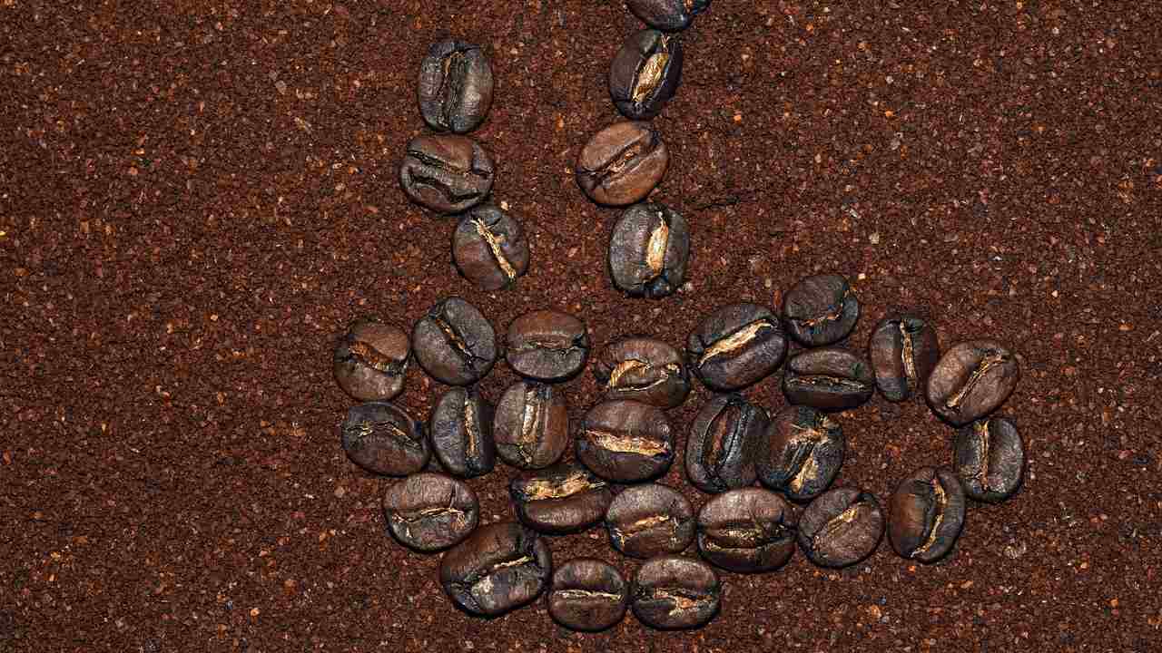 Chicchi di caffè come adoperarli