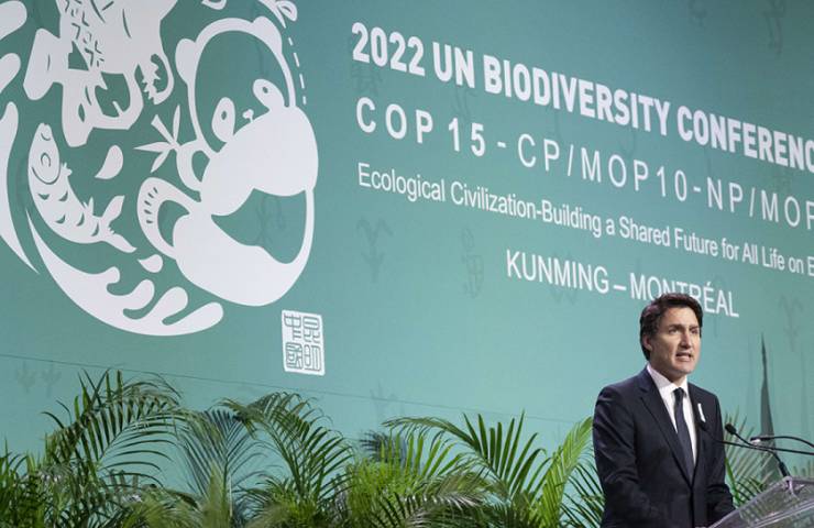 Cop15 obiettivi biodiversità