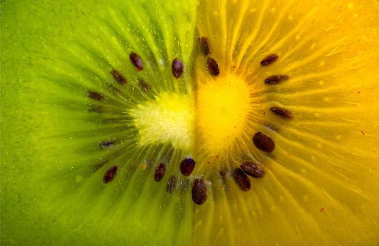 differenze kiwi verde giallo