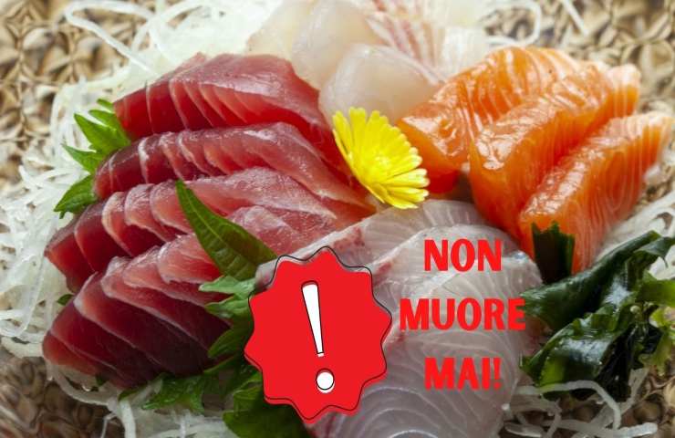 Pesce crudo non muore mai 