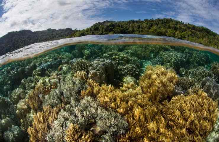 accordo contro cambiamenti climatici