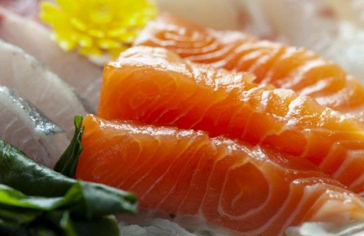 Salmonella health risk sashimi 