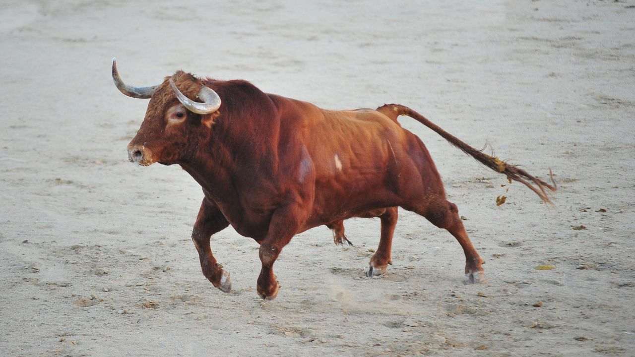 prevenire attacco toro