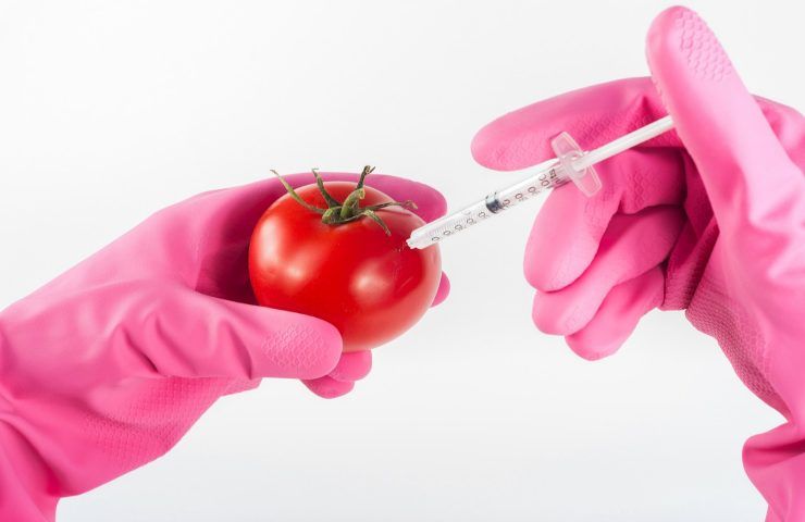 rischi possibili OGM