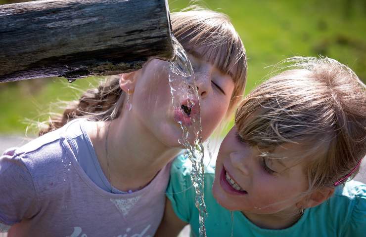 acqua, due litri, giorno, quotidiana, salute, idratazione, studio scientifico