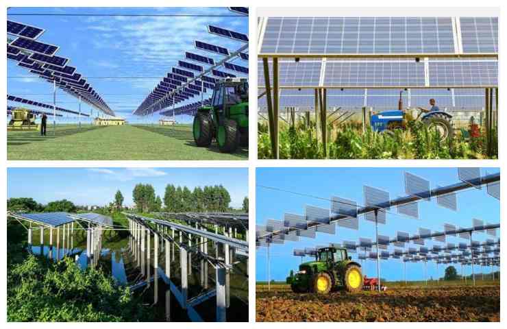 agrivoltaico produzione unisono cibo energia