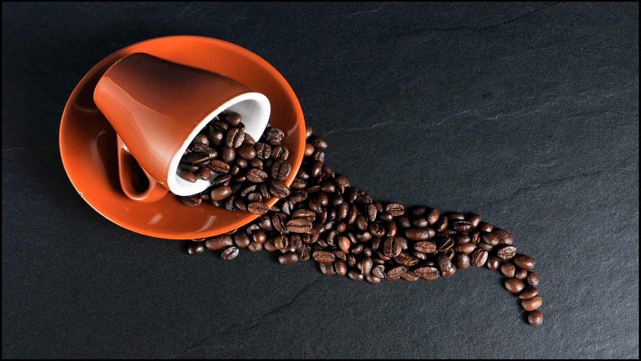 il caffè non ha un unica varietà: scopriamo quelle più famose