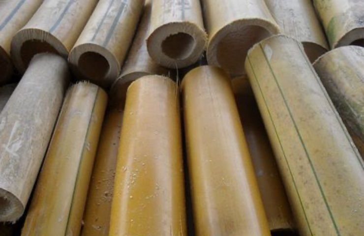 polvere bambù piatti