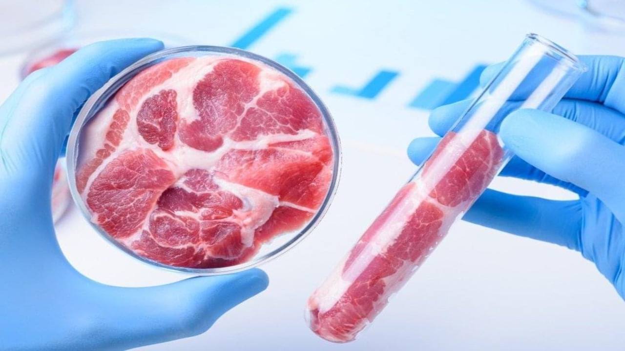 Carne naturale e carne sintetica