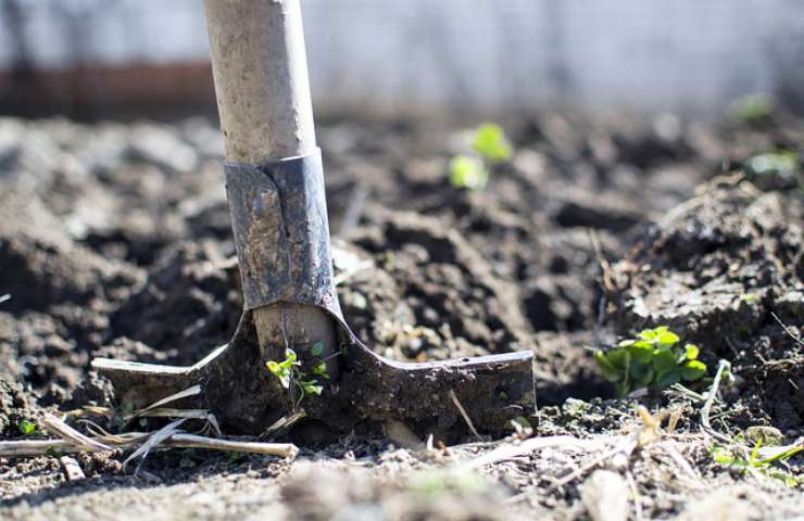 attrezzo coltivazione terreno