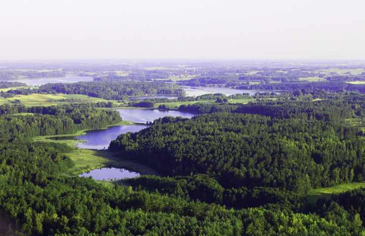 Lituania: una foresta incantata a pochi passi da noi 
