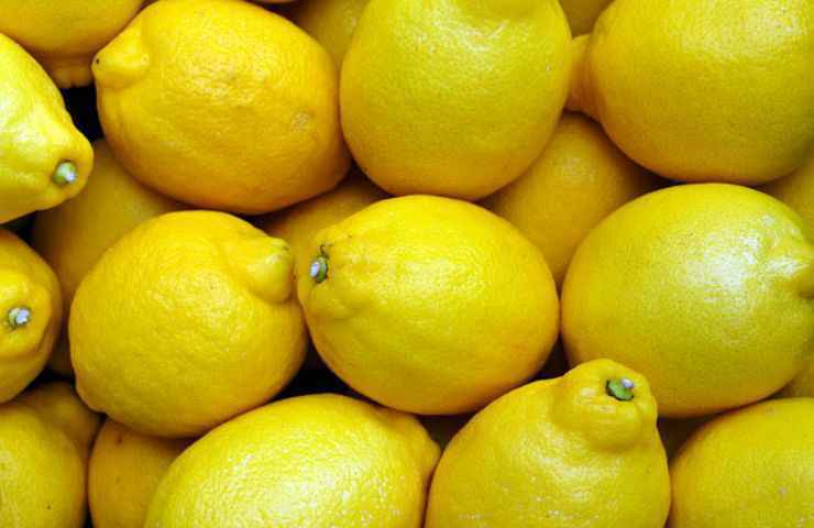 limoni frutti natura