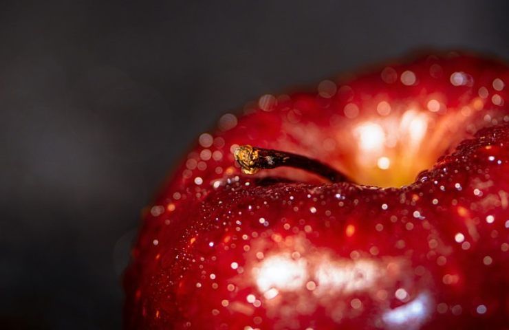 come sarà 2023 tradizione ceca svela mela