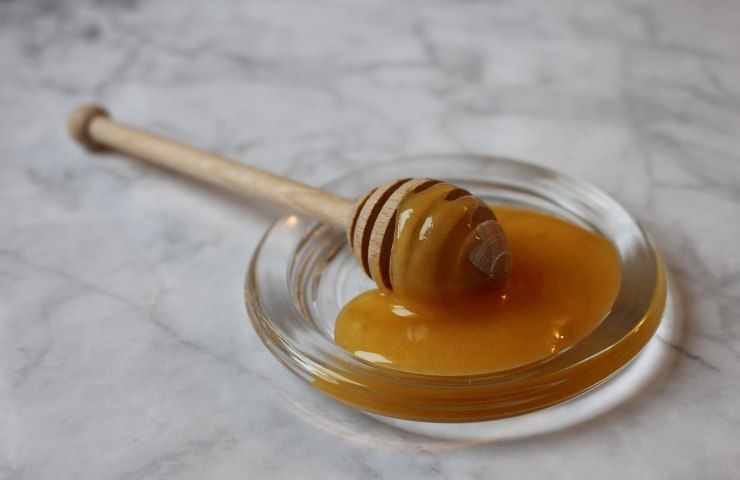 miele di melina: scopri come si ottiene 