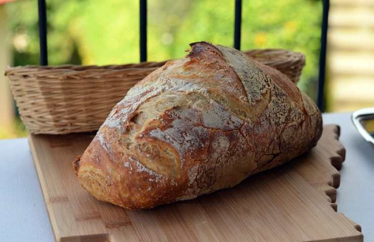 forno comunale questo paese Italia cittadini autoproducono pane