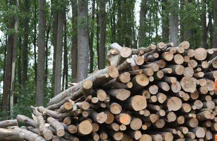 riscaldamento biomasse acquista nel periodo giusto 
