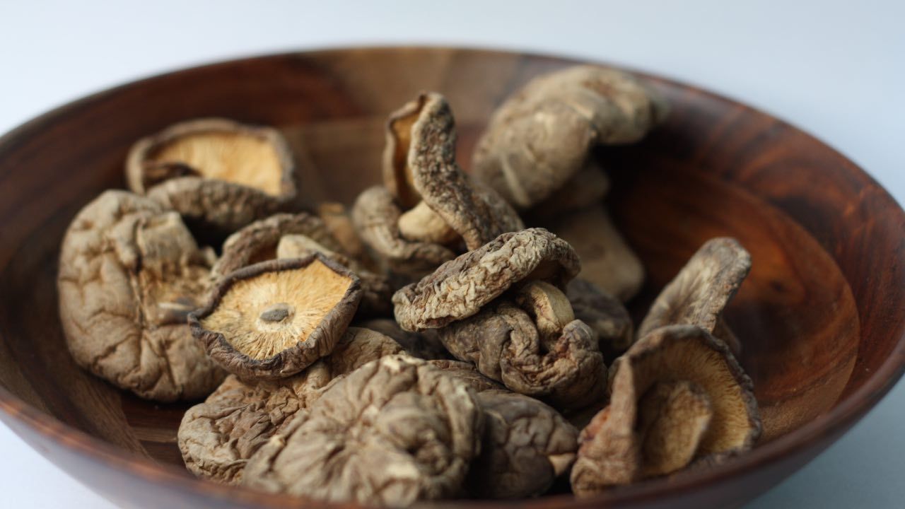 Funghi shiitake, proprietà e benefici di questo ingrediente orientale
