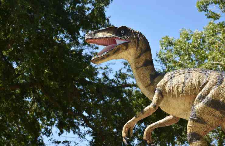 estinzione dei dinosauri: e se non fossero mai esistiti? 