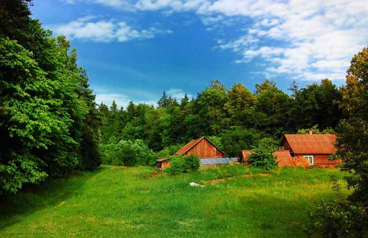 villaggi con casette di legno nella Foresta Paradiso 