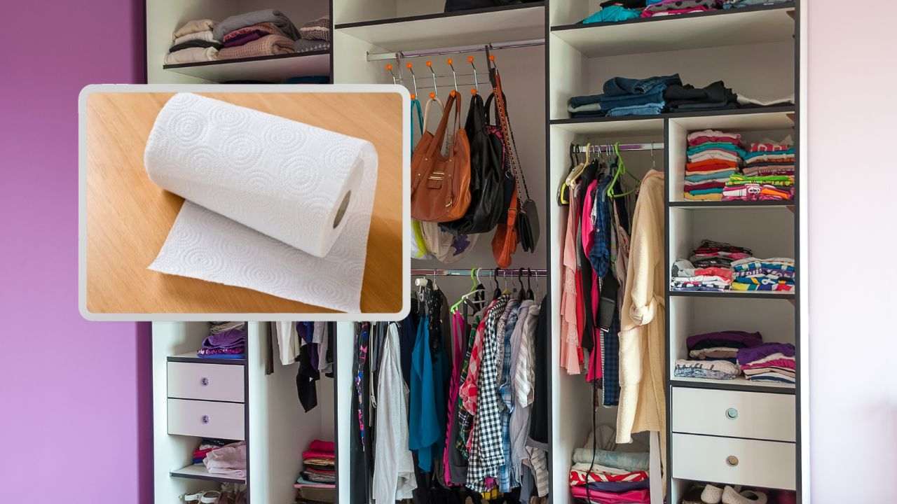 rotolo scottex armadio