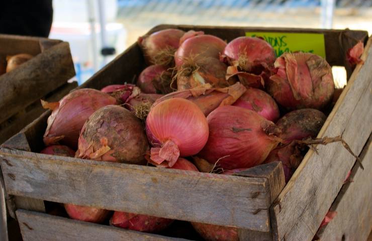 perchè cipolle rosse tropea sono rosse