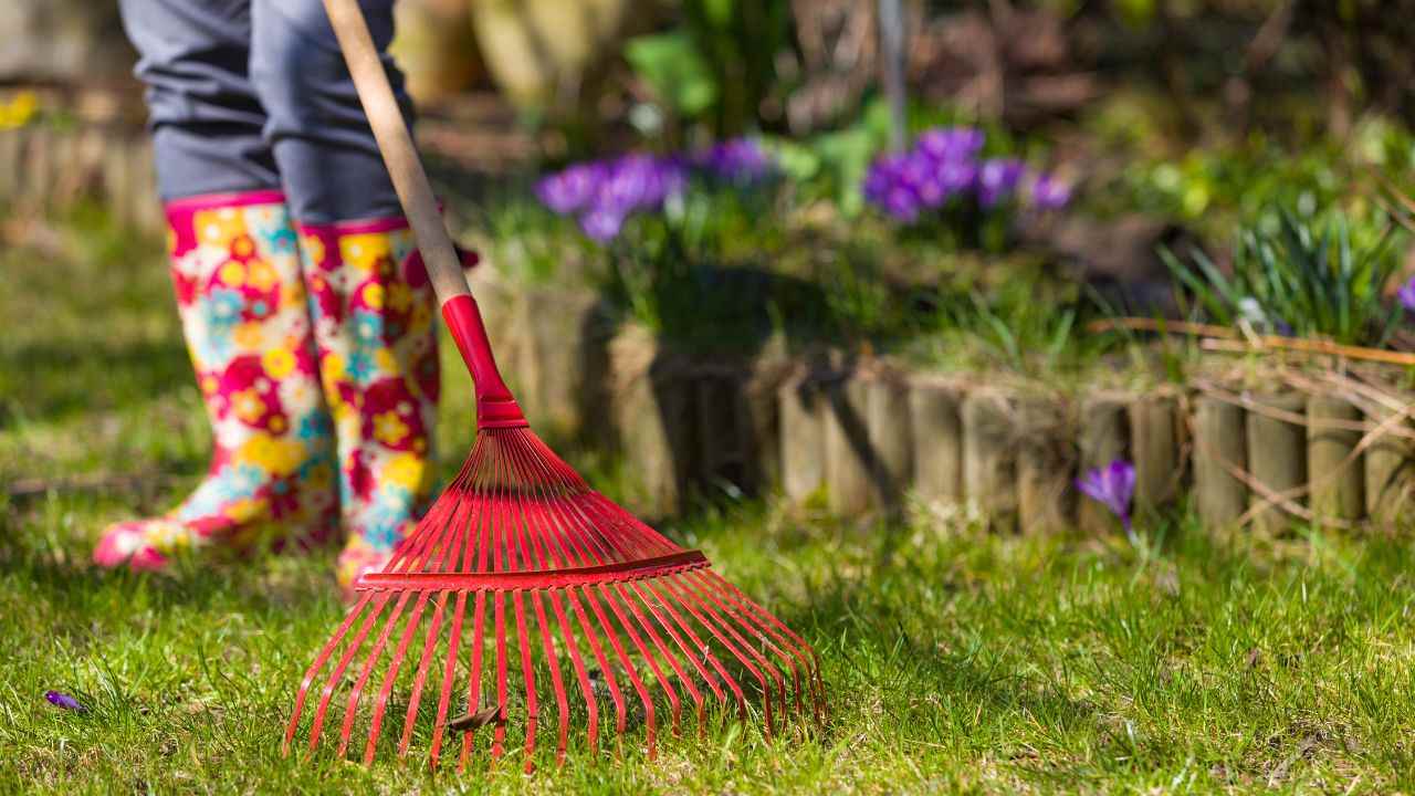 pulizia giardini legge