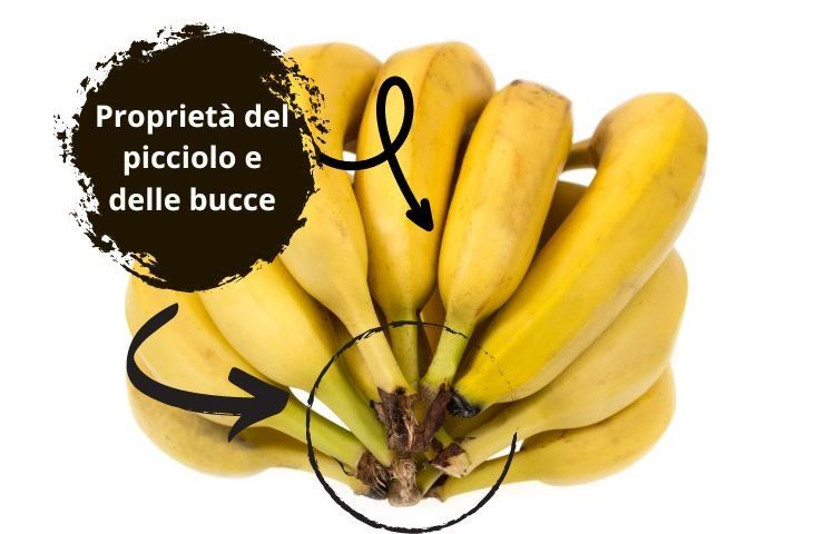 proprietà bucce picciolo banana