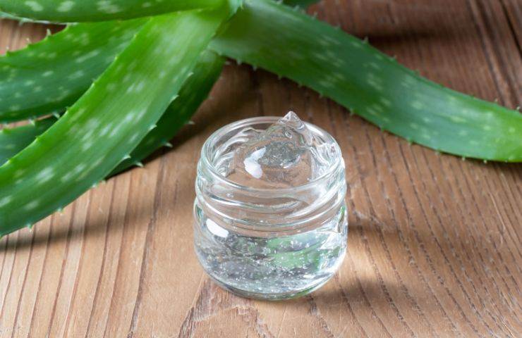 conservazione gel aloe vera