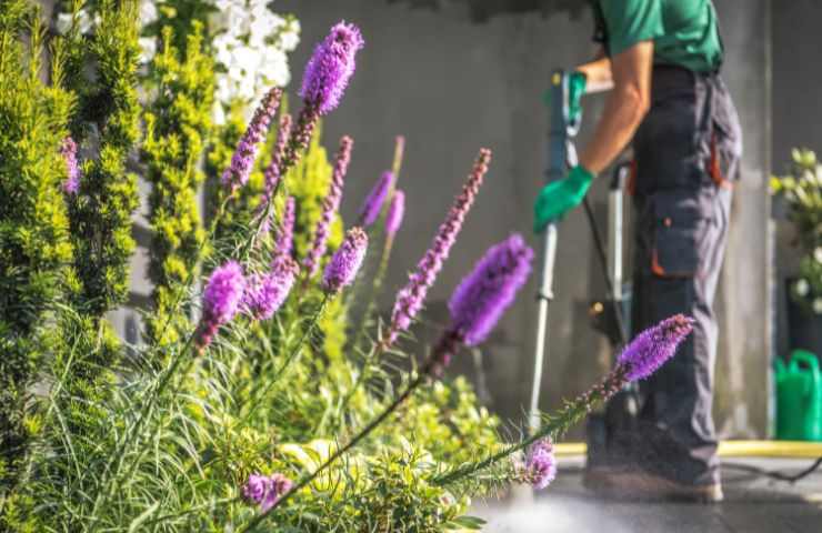 cura terreni confinanti