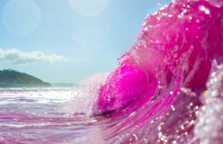 Oceano rosa motivo 