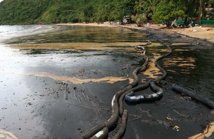 inquinamento ambientale petrolio mare
