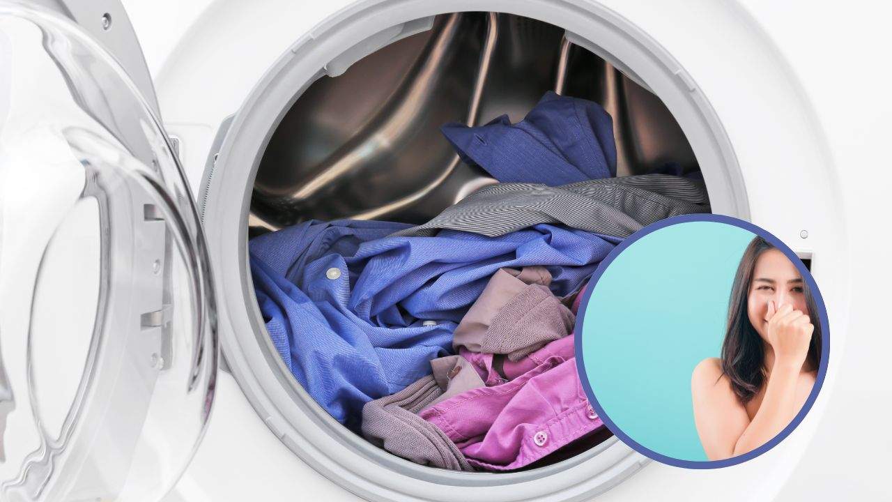 Puzza chiuso vestiti rimedio