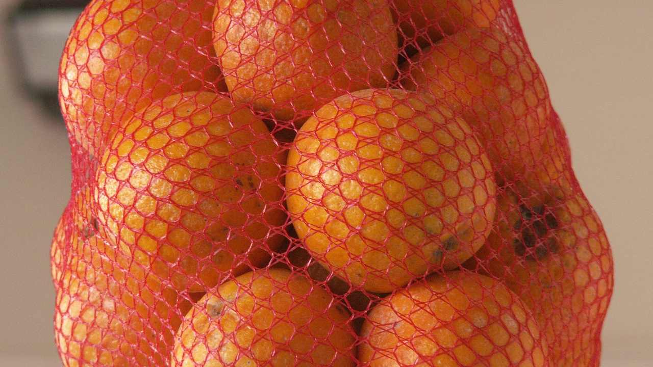 Retina frutta riciclo