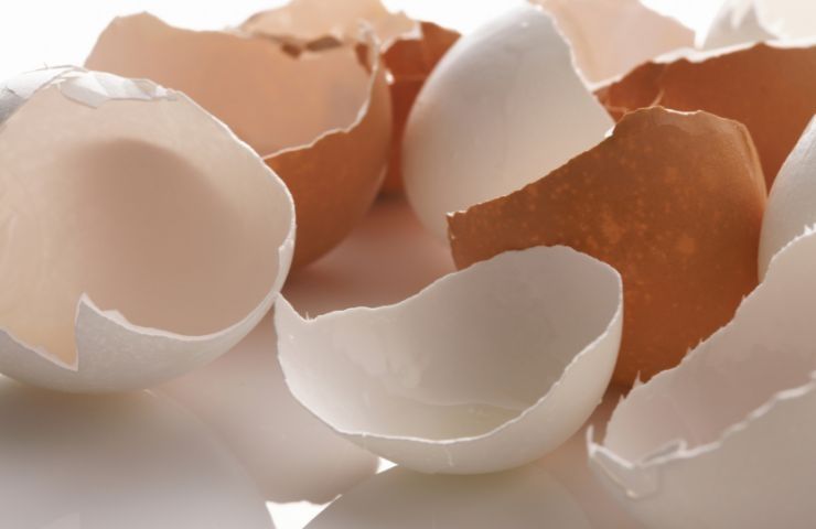gusci uova proprietà benessere